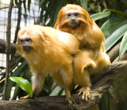 National Zoo